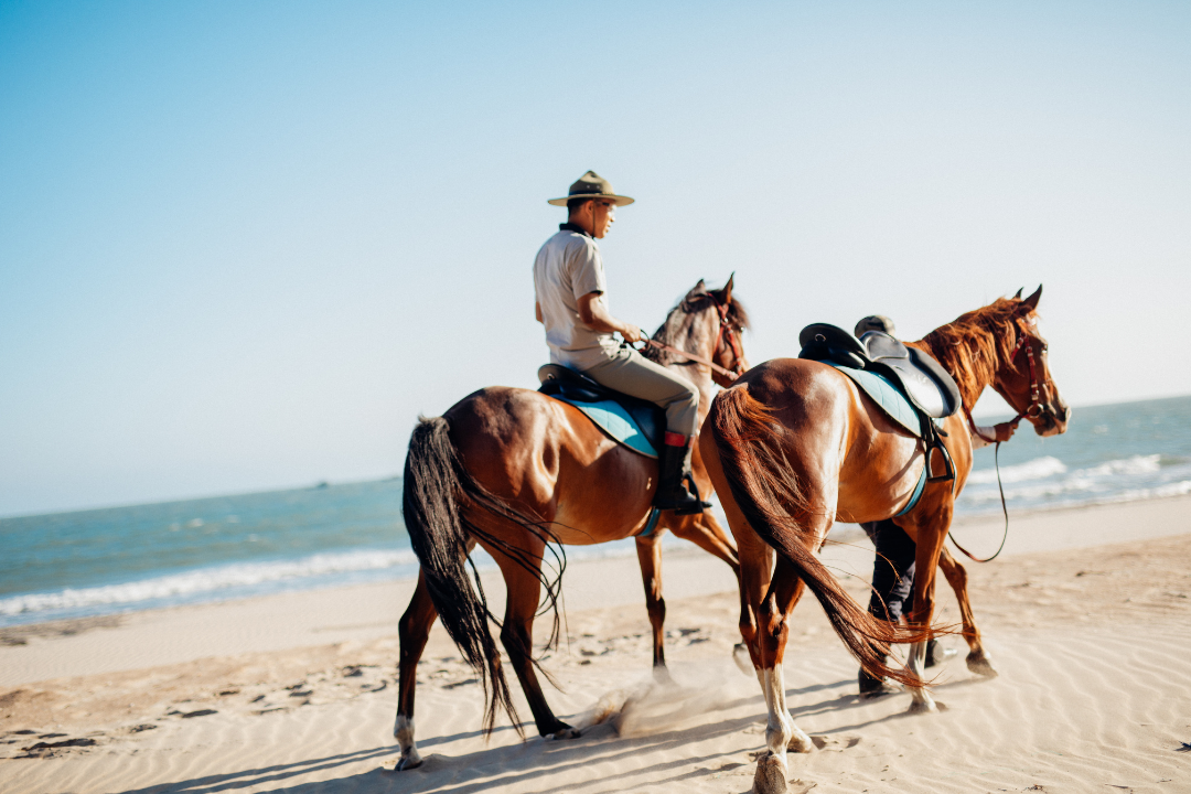A man riding a horse at ho tram coast